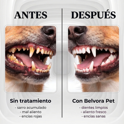 Spray Dental Para Perros y Gatos